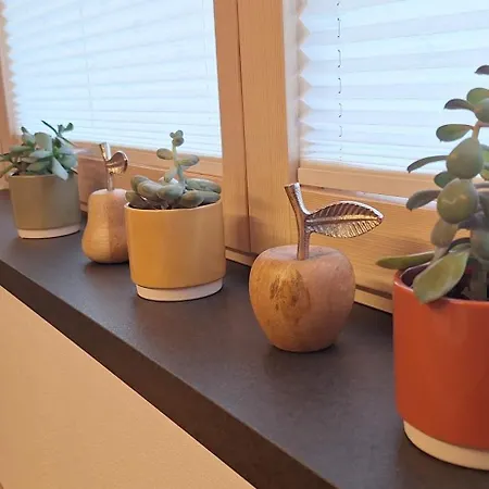 Wechselberger Tobias & Jaqueline Apartmán Schwendau