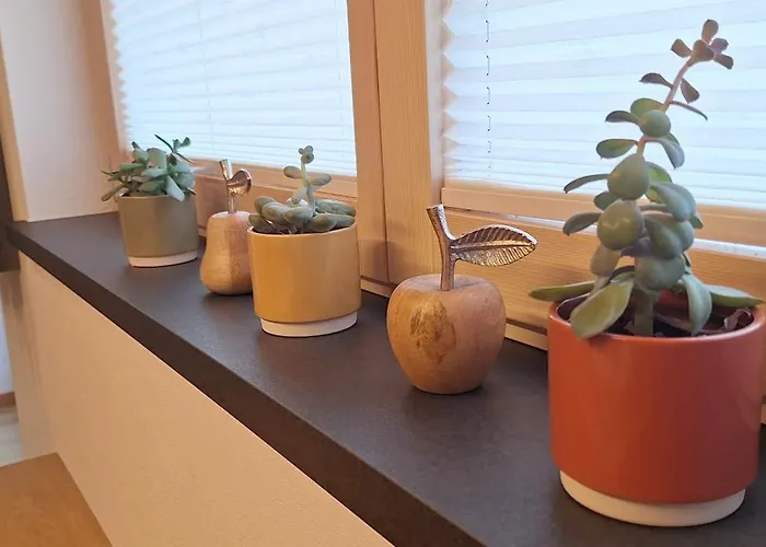 Wechselberger Tobias & Jaqueline Apartament Schwendau